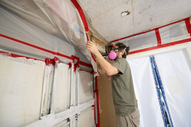 Professional Mold Removal in Charter Oak, CA