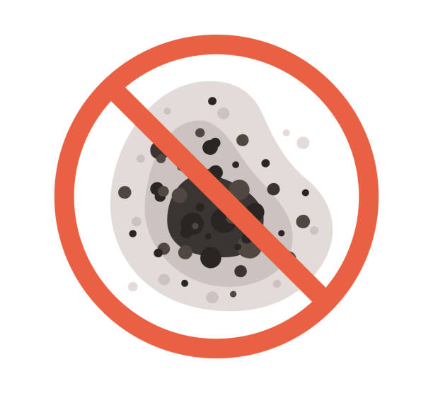 Best Air Quality Testing for Mold Spores  in Charter Oak, CA