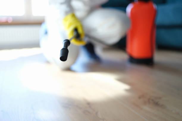 Best Air Quality Testing for Mold Spores  in Charter Oak, CA