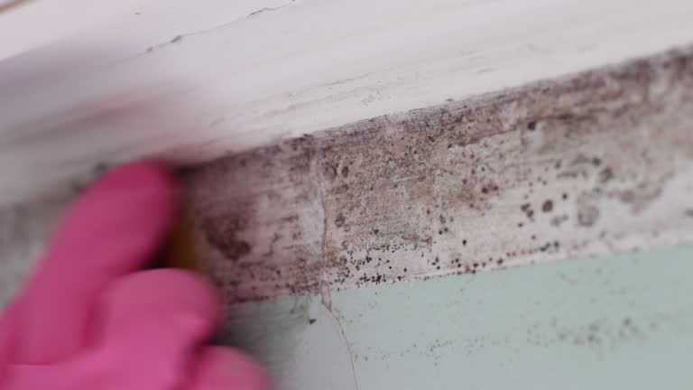 Best Flood Damage  in Charter Oak, CA